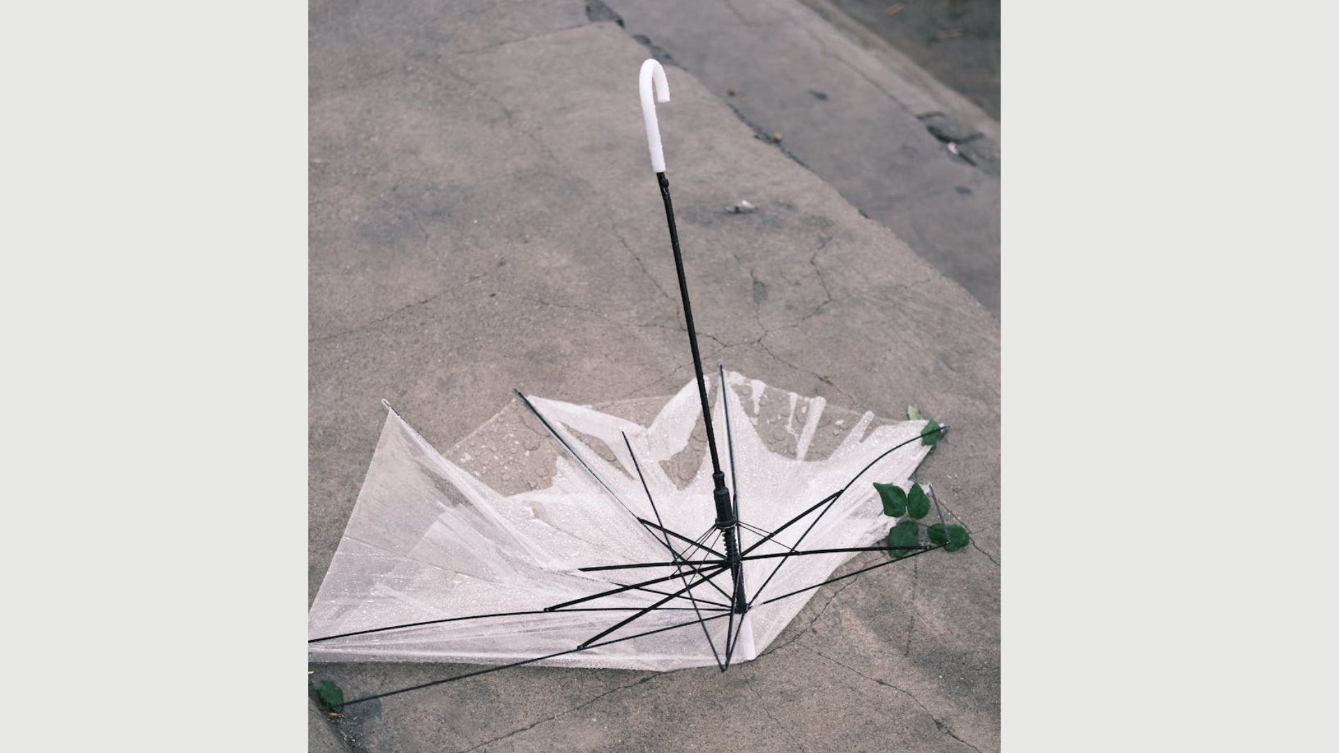 broken umbrellas, Broken clear umbrella flipped inside out on a concrete ground