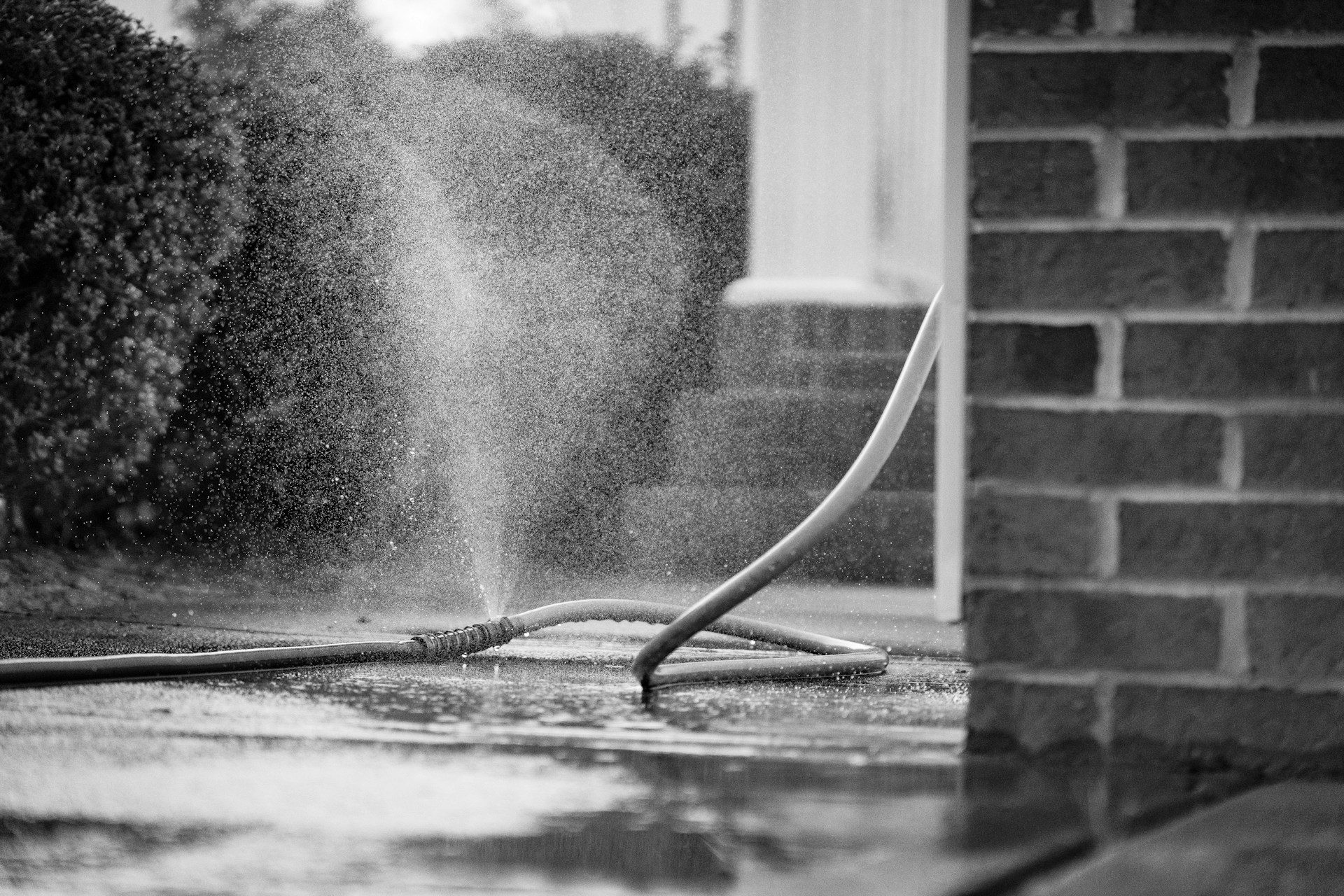 Kinked, broken hose spraying next to a brick wall and some bushes.