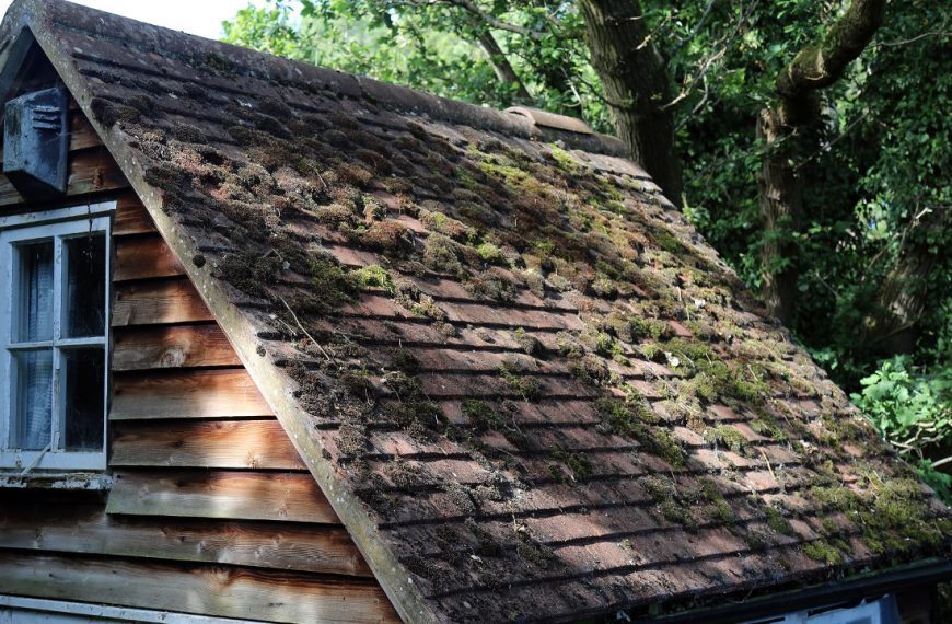 Sloped roof with heavy moss buildup on brown shingles next to a wooden house wall and window
