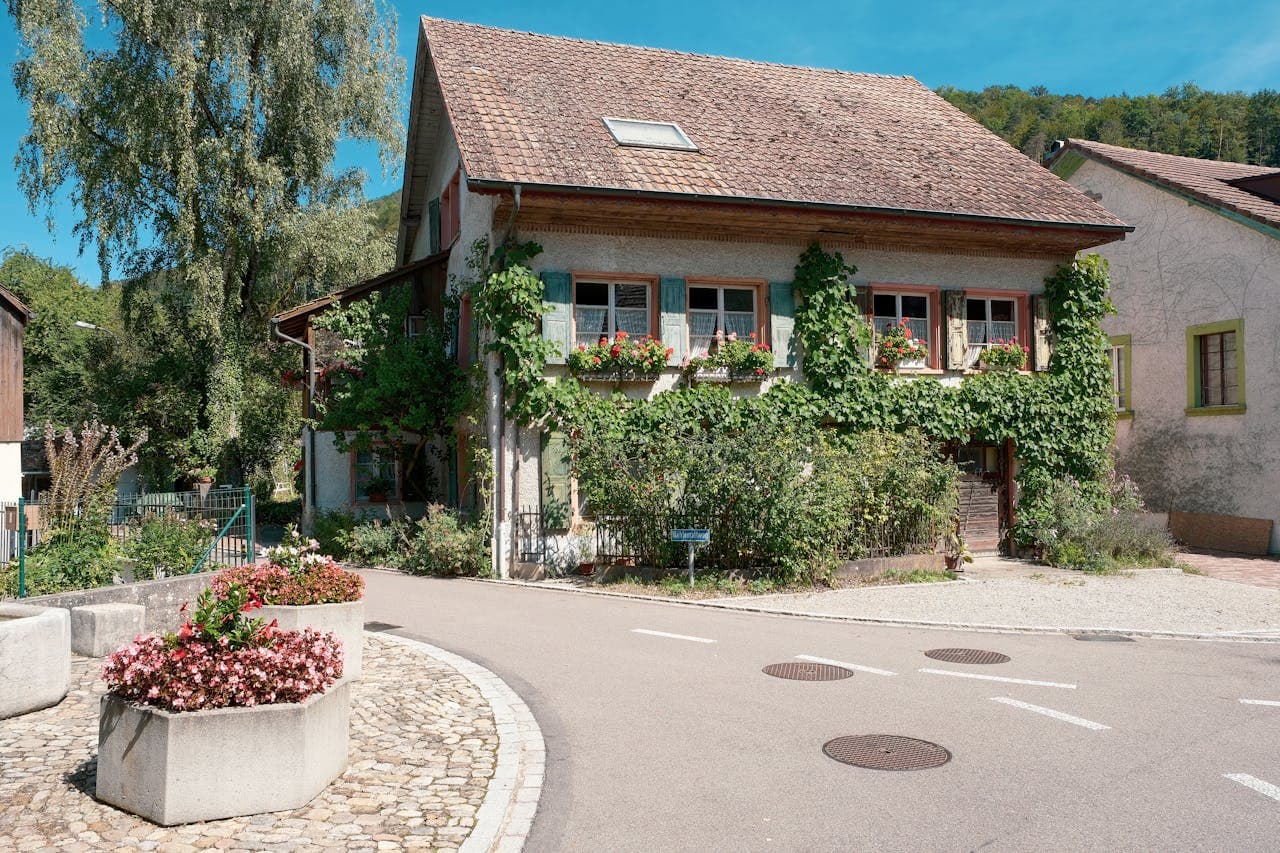 Charming European-style house with a sloped tile roof, wooden balcony, and green vines climbing the facade, surrounded by lush landscaping, flower planters, and a curved paved road under a clear blue sky