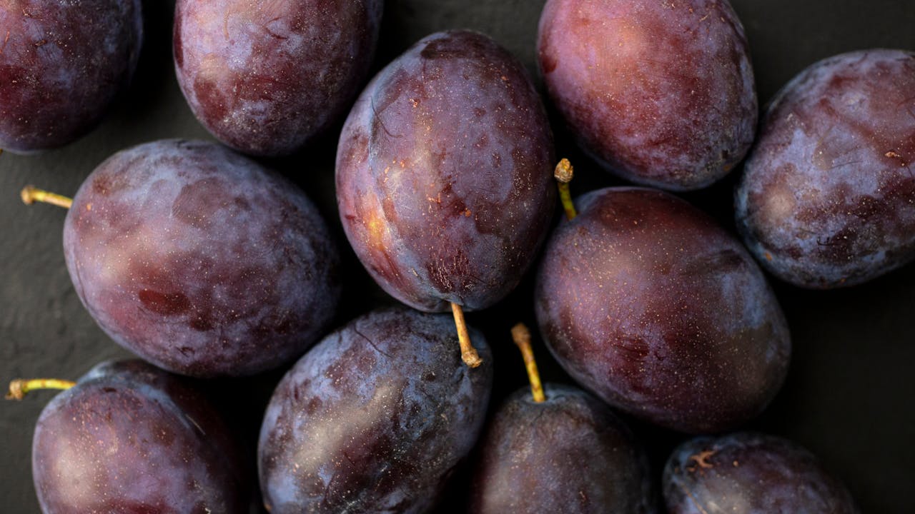 Close-up of ripe purple plums with stems on a dark background
