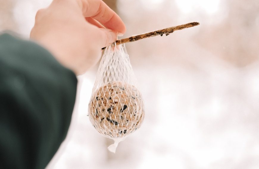 13 Things I Always Keep in My Outdoor Storage Box