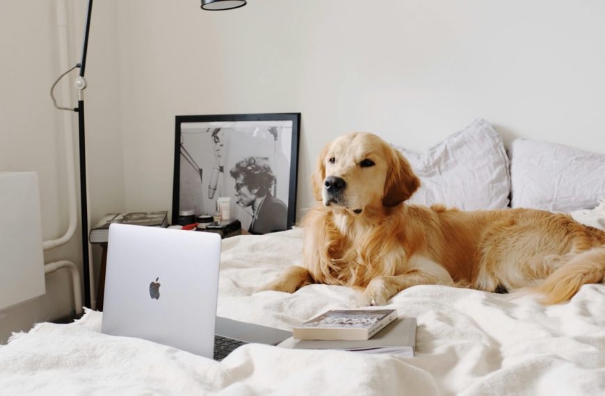 12 Things I Never Store&hellip;