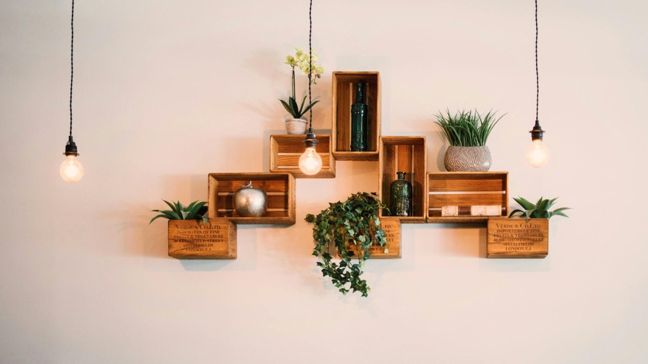 Lisa from Pexels/Pexels