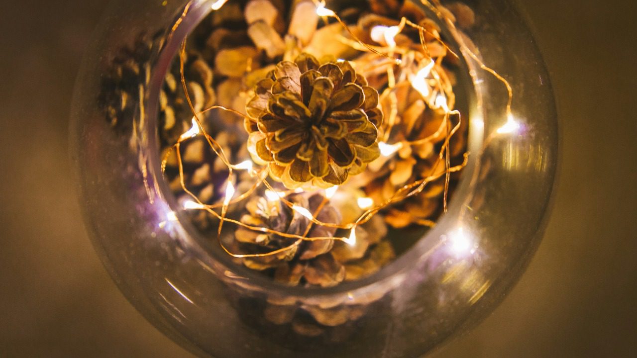 Image Credit: Shutterstock. 
