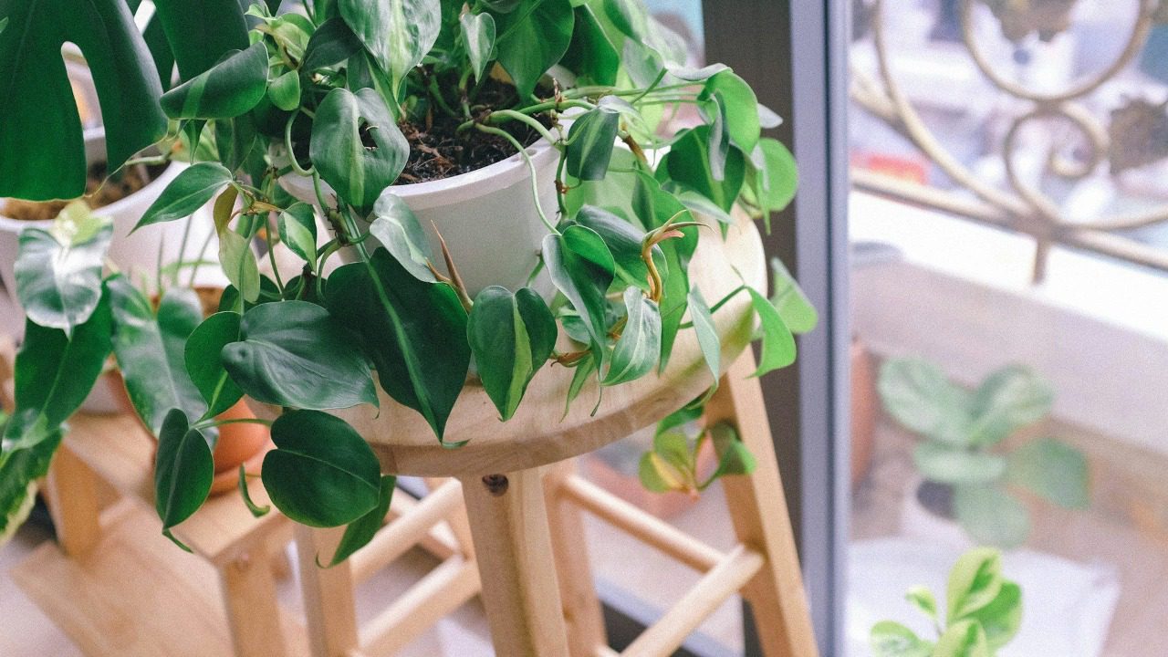 Image Credit: Huy Phan / Unsplash
