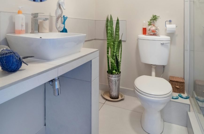 Jean van der Meulen/Pexels