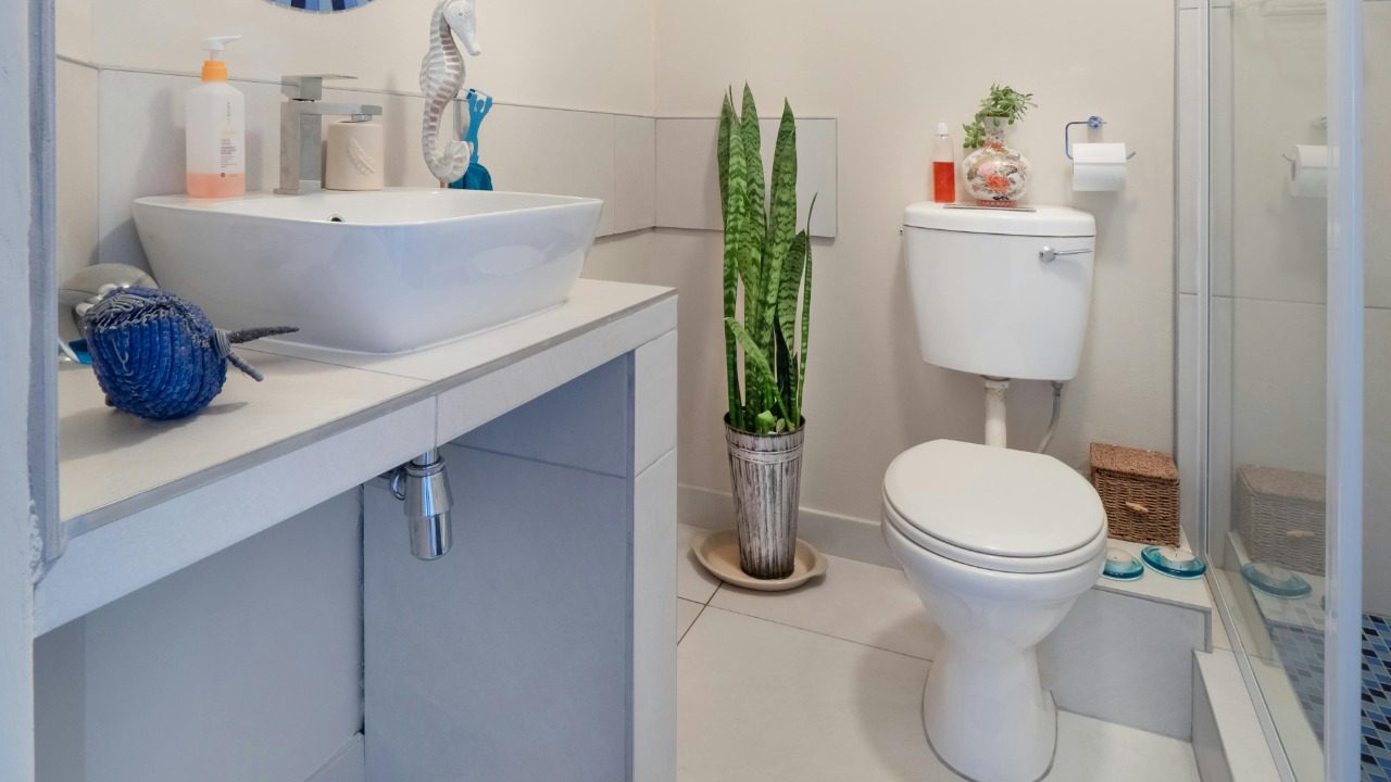 Jean van der Meulen/Pexels