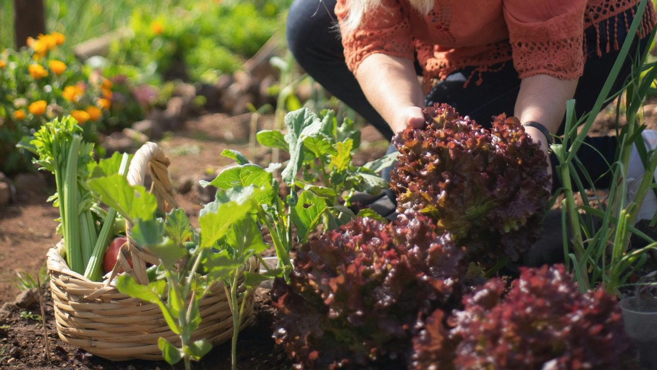 Kampus Production/Pexels