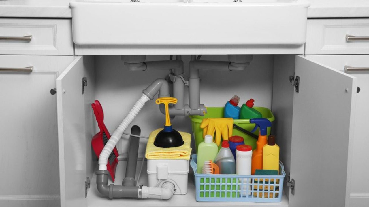 Image Credit: Shutterstock.