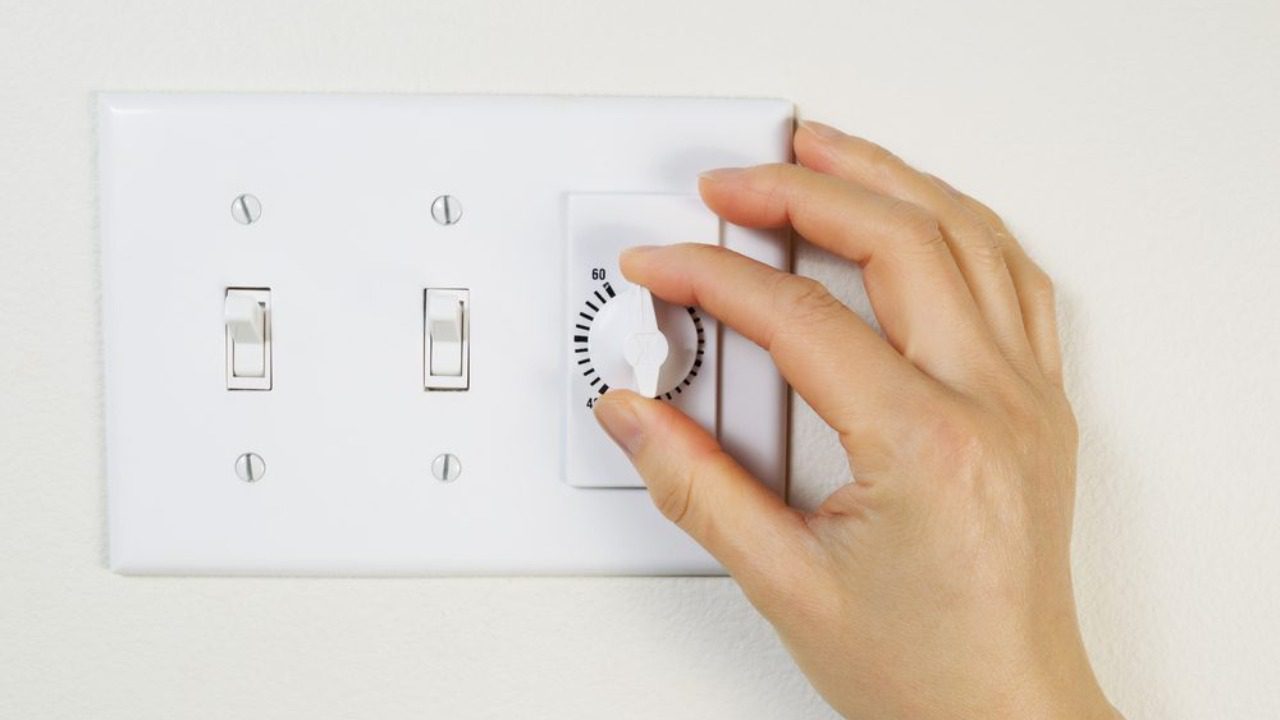 Image Credit: Shutterstock.