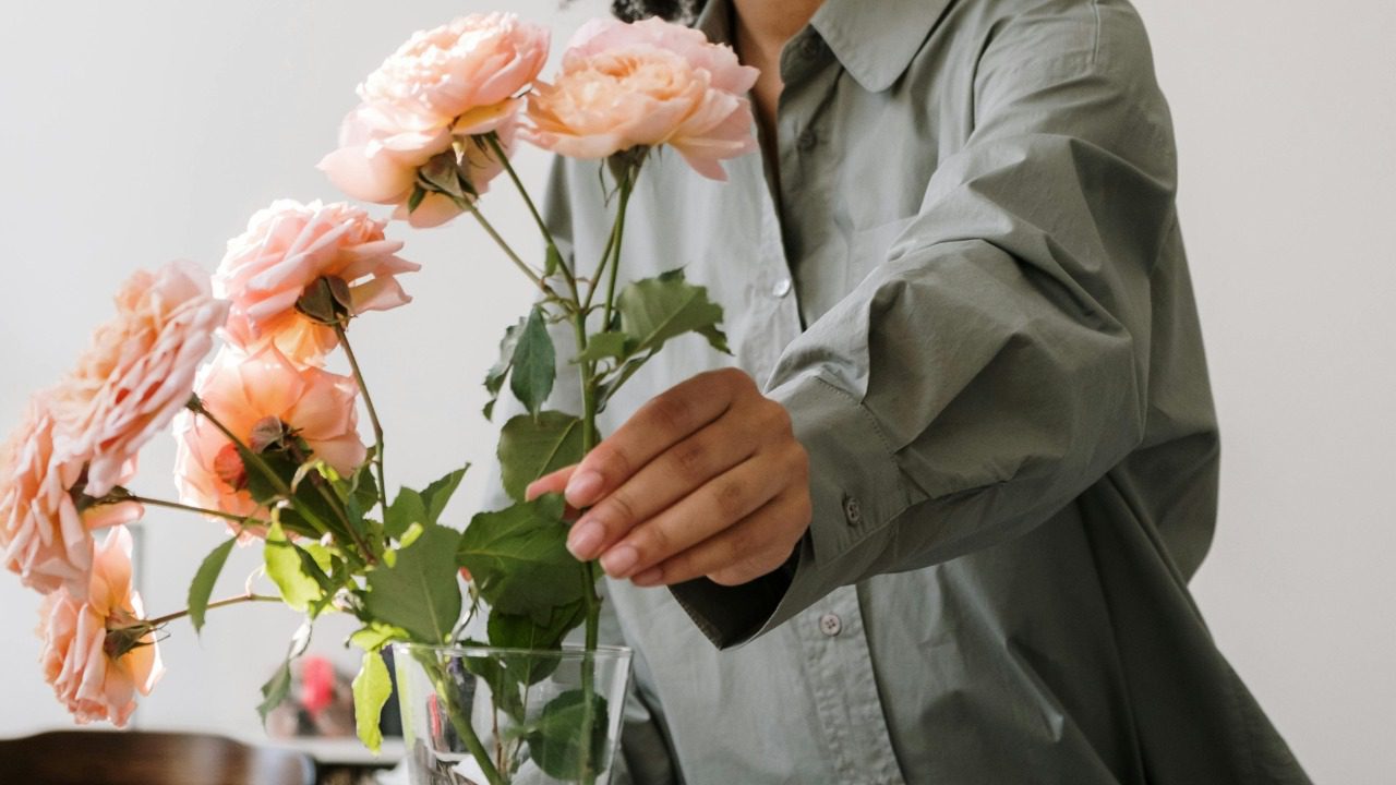 cottonbro studio/Pexels