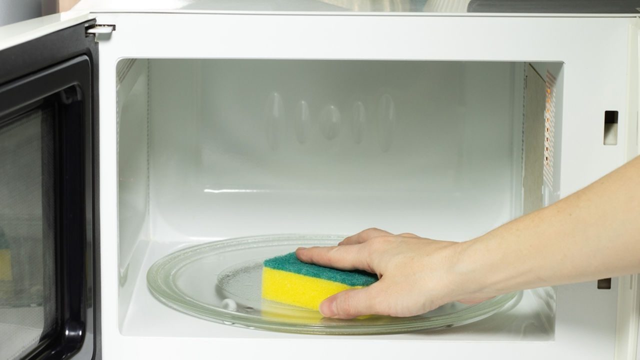 Image Credit: Shutterstock. 
