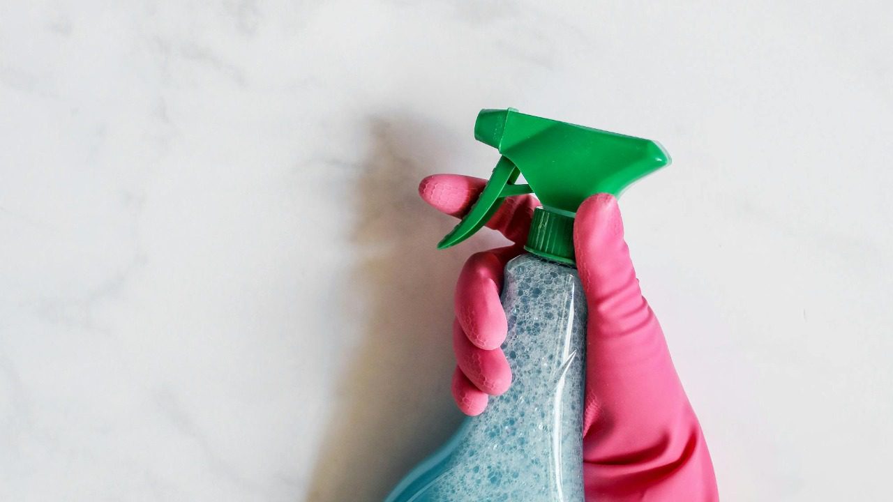 Polina Tankilevitch/Pexels