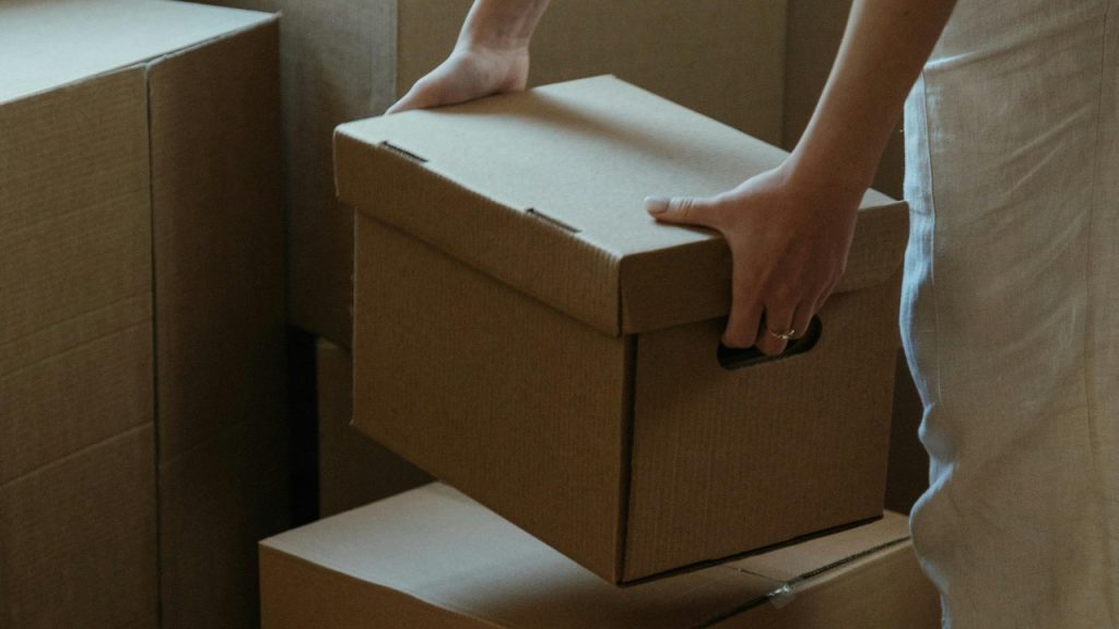 cottonbro studio/Pexels