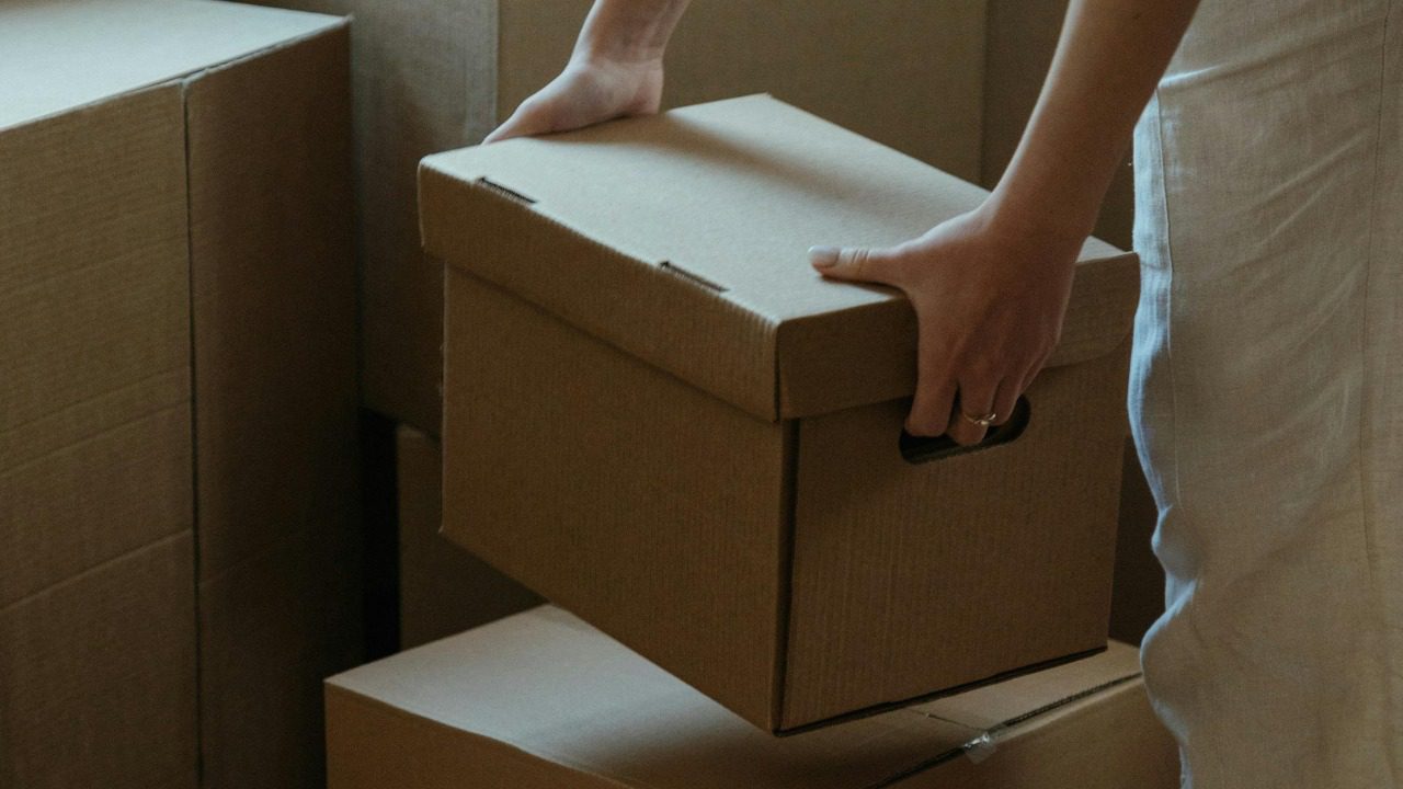 cottonbro studio/Pexels