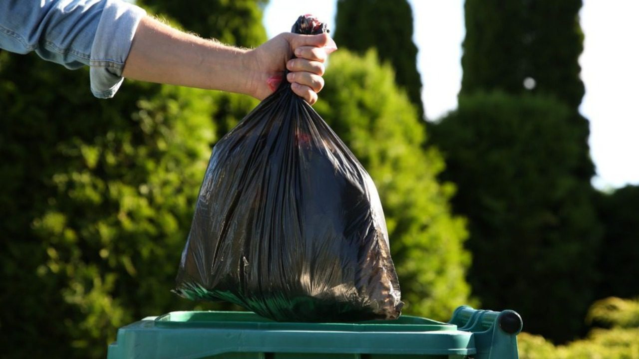 Image Credit: Shutterstock. 
