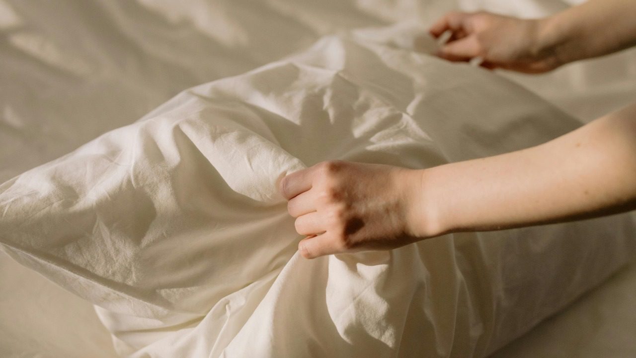 cottonbro studio/Pexels