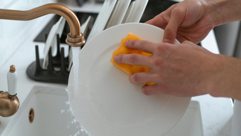 cottonbro studio/Pexels