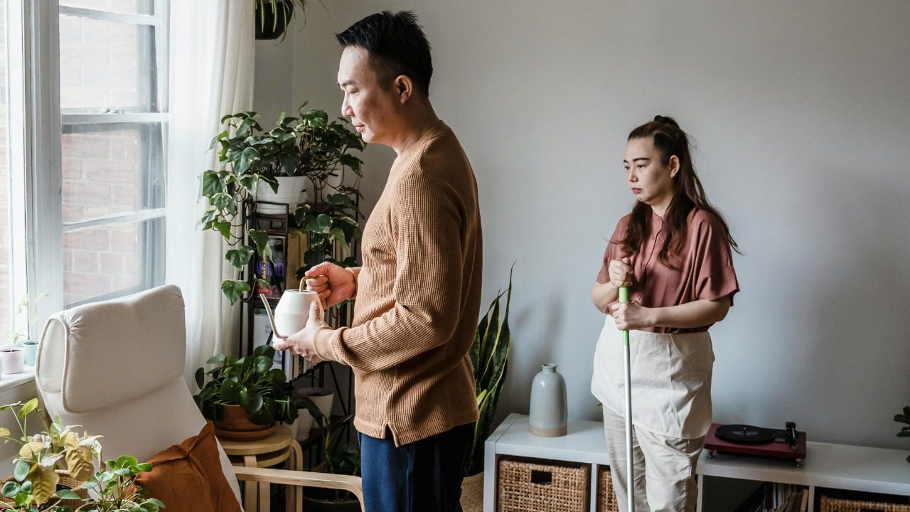 Annushka  Ahuja/Pexels