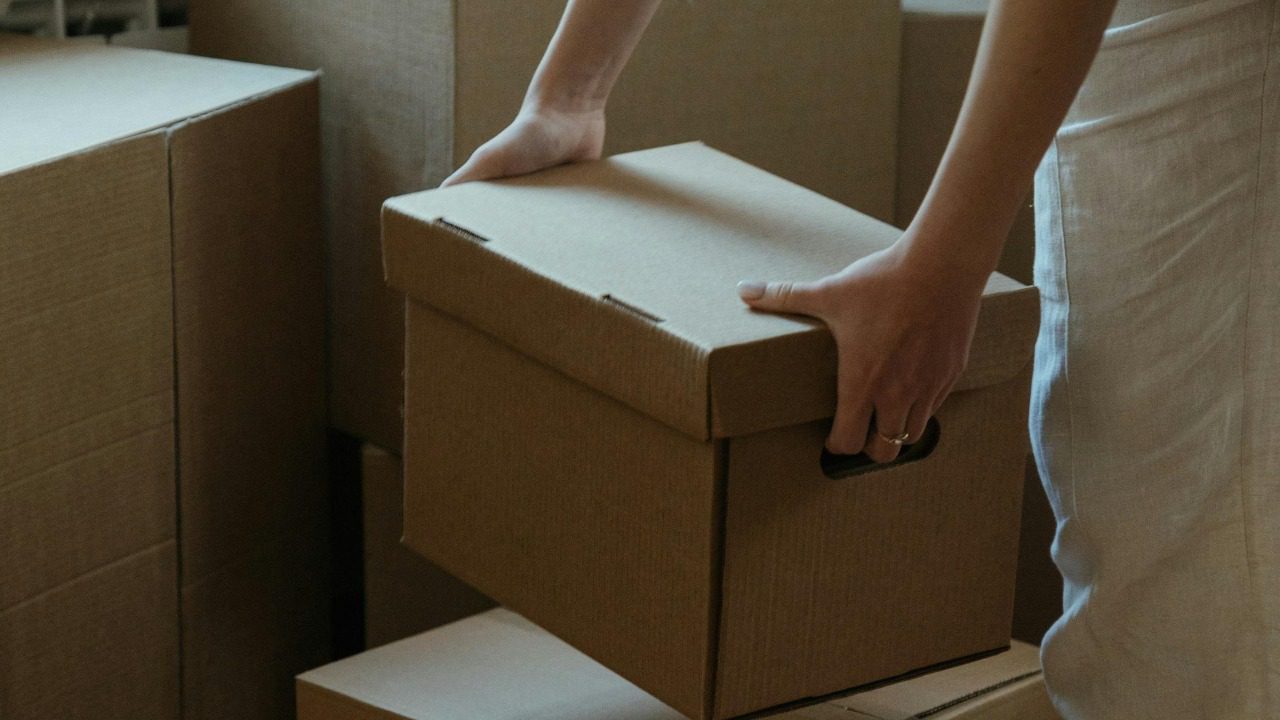 cottonbro studio/Pexels
