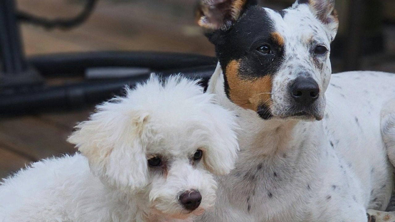 Gary Saamanen/Pexels