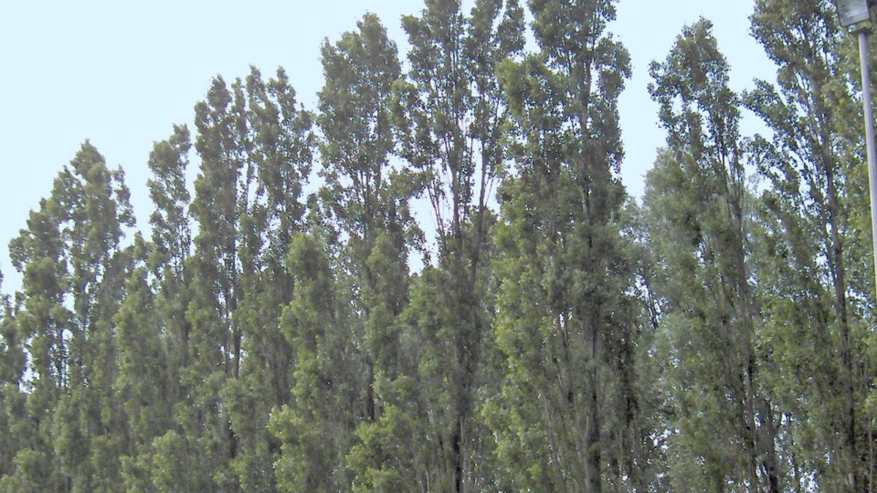 Image Credit: No machine-readable author provided. JoJan assumed (based on copyright claims). - CC BY-SA 3.0/Wiki Commons