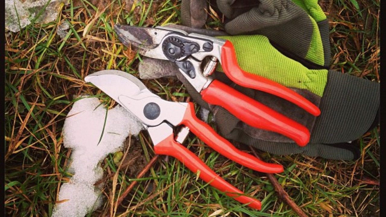 Image Credit: barockschloss from Zeilitzheim, Germany - CC BY 2.0/Wiki Commons