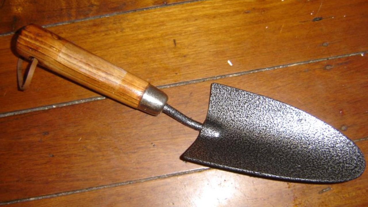 Image Credit: User DO'Neil on en.wikipedia - CC BY-SA 3.0/Wiki Commons