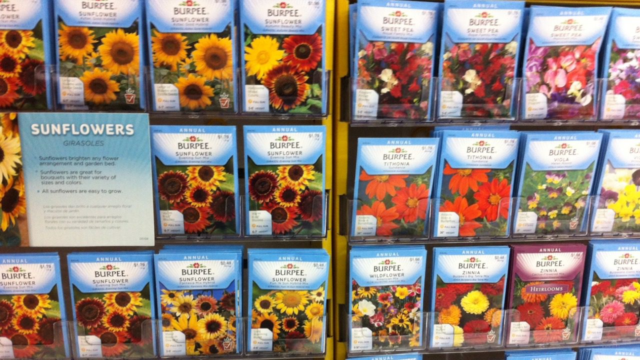 Image Credit: ParentingPatch - CC BY-SA 3.0/Wiki Commons