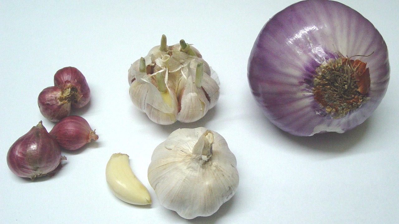 Image Credit: Caduser2003 at ml.wikipedia - CC BY-SA 2.5/Wiki Commons