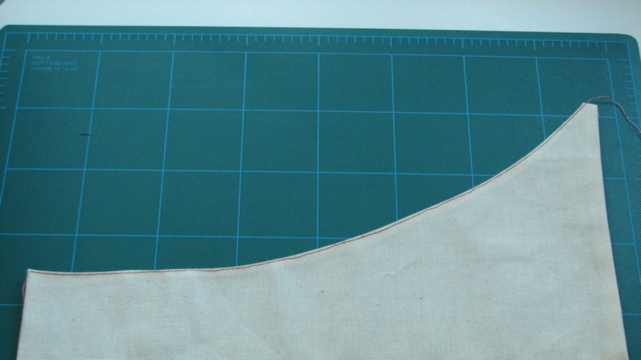 Image Credit: Lenore Edman - CC BY 2.0/Wiki Commons