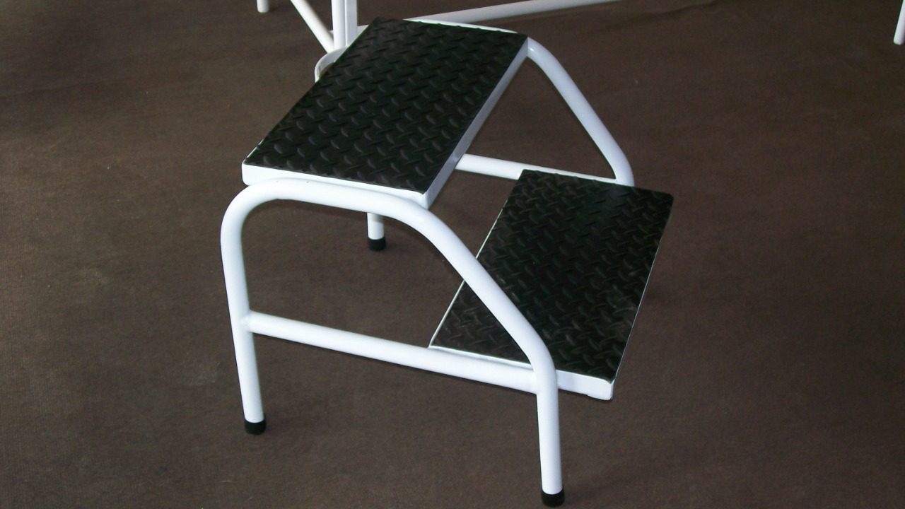 Image Credit: Audolina Ines Menese… - CC BY 3.0/Wiki Commons