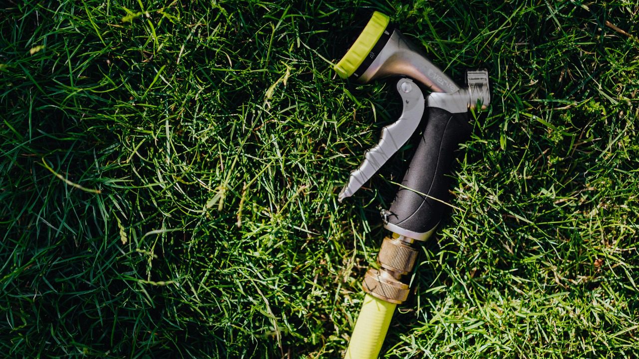 Photo By: Kaboompics.com/Pexels