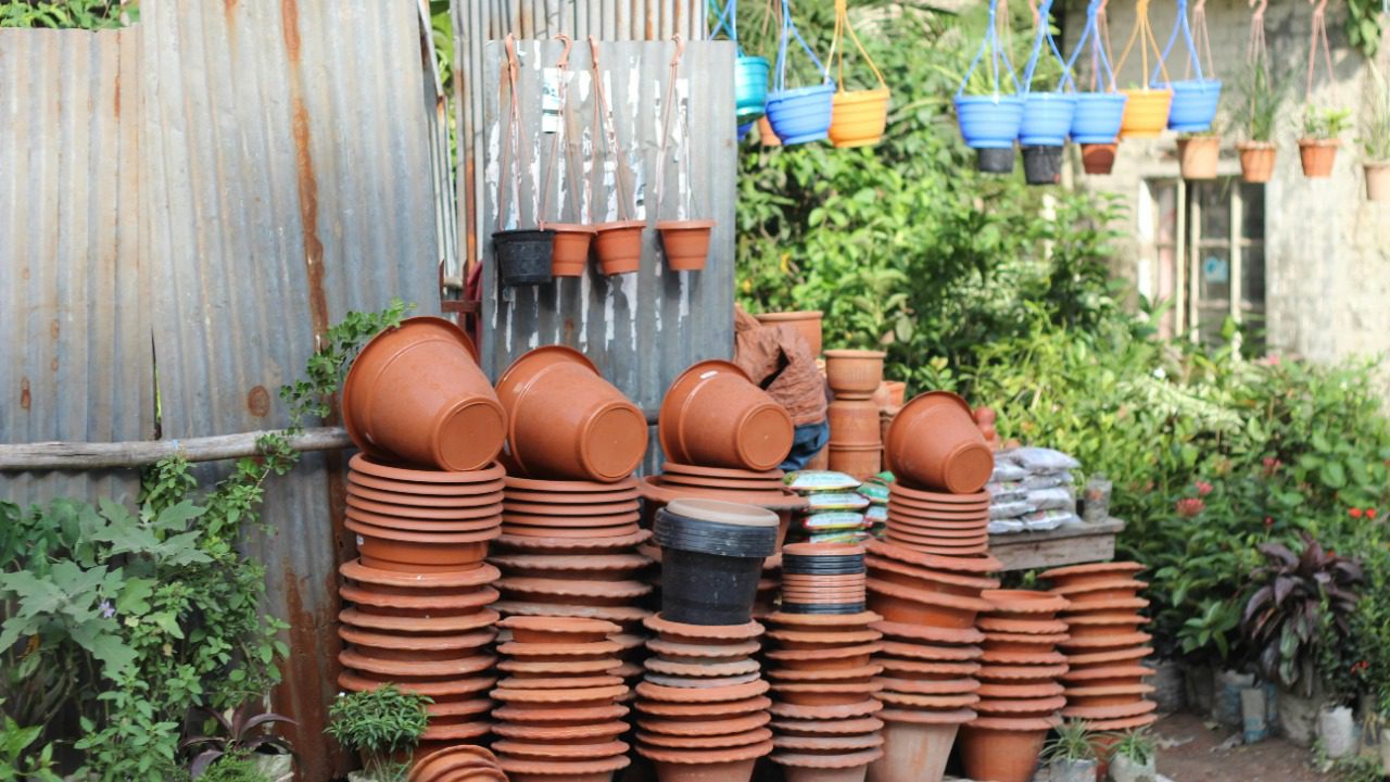 Mahmudul Hasan Rifat/Pexels