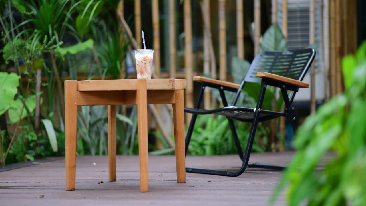 Sóc Năng Động/Pexels