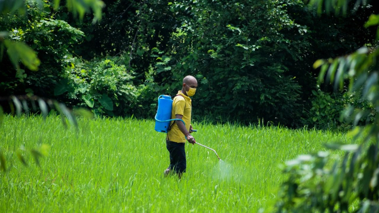 Prakash Aryal/Pexels