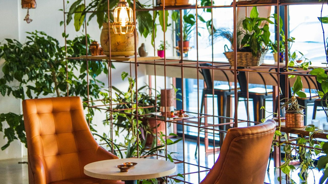 Valeria Boltneva/Pexels