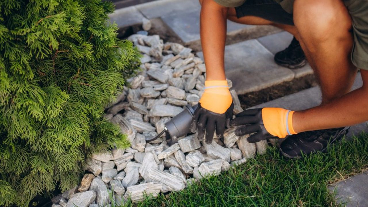 Image Credit: Shutterstock.
