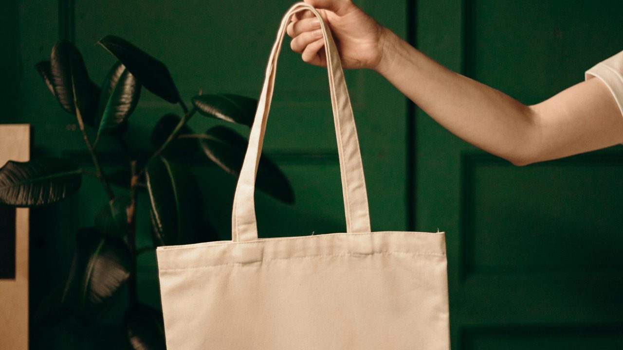 cottonbro studio/Pexels