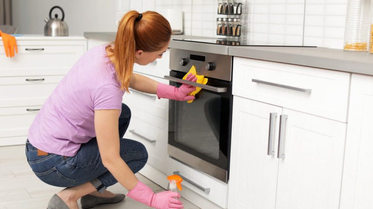 Image Credit: Shutterstock.
