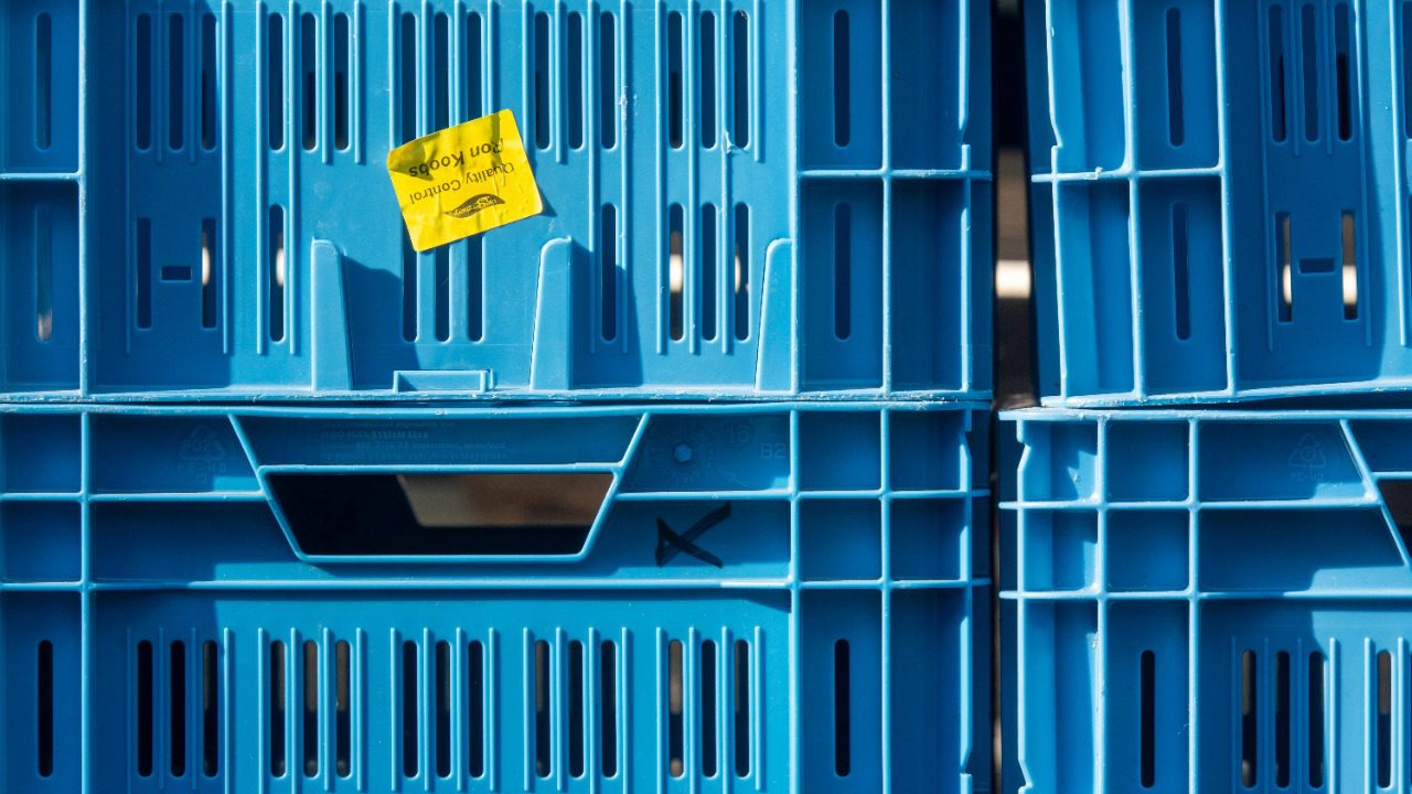 Jan van der Wolf/Pexels