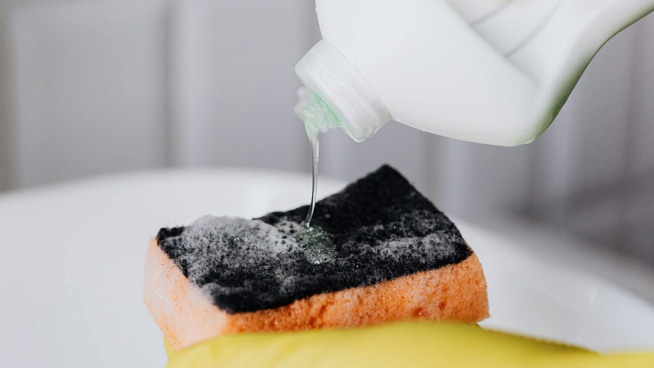 Photo By: Kaboompics.com/Pexels