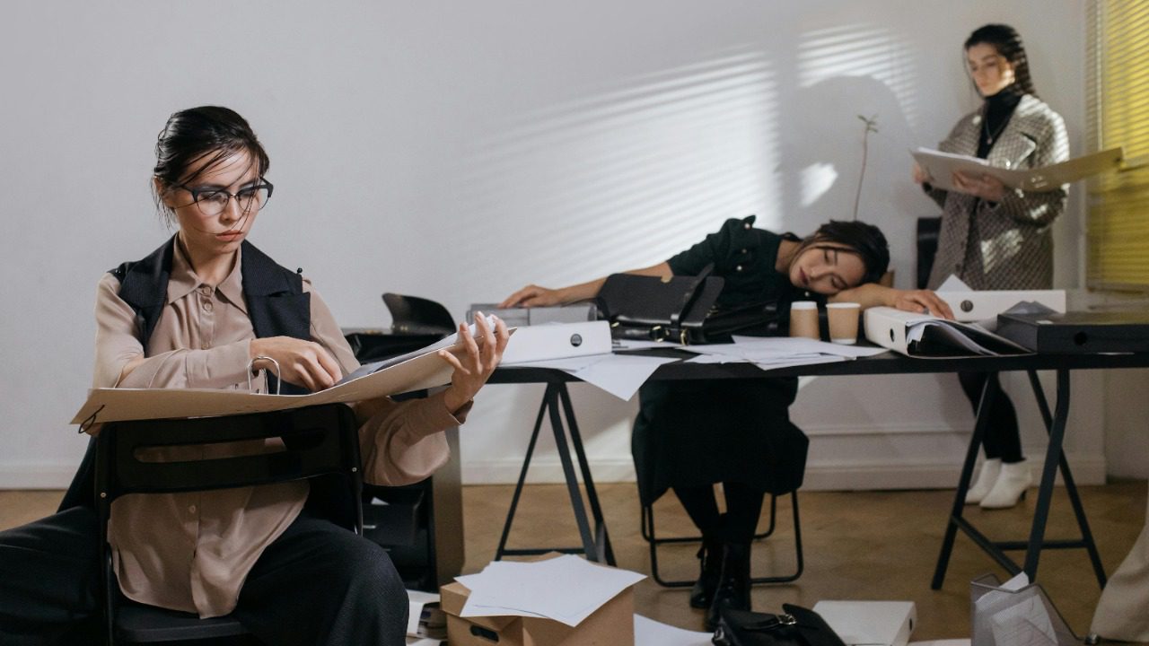 cottonbro studio/Pexels