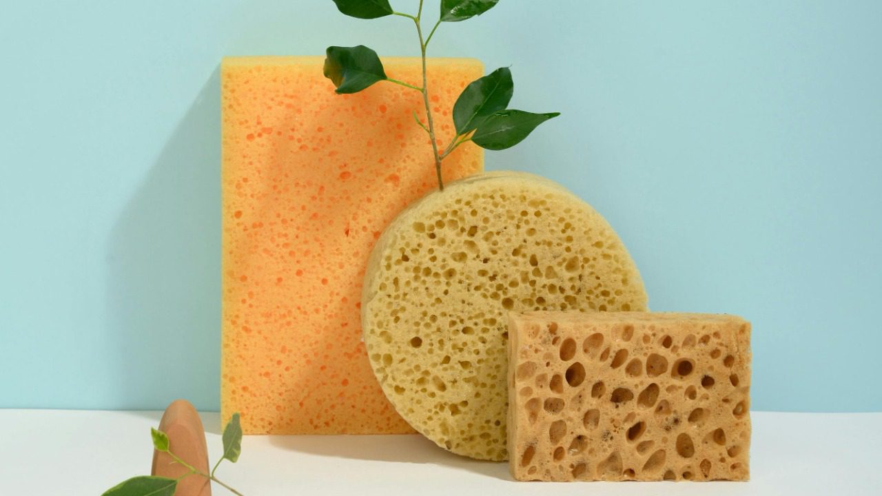 Daria Liudnaya/Pexels