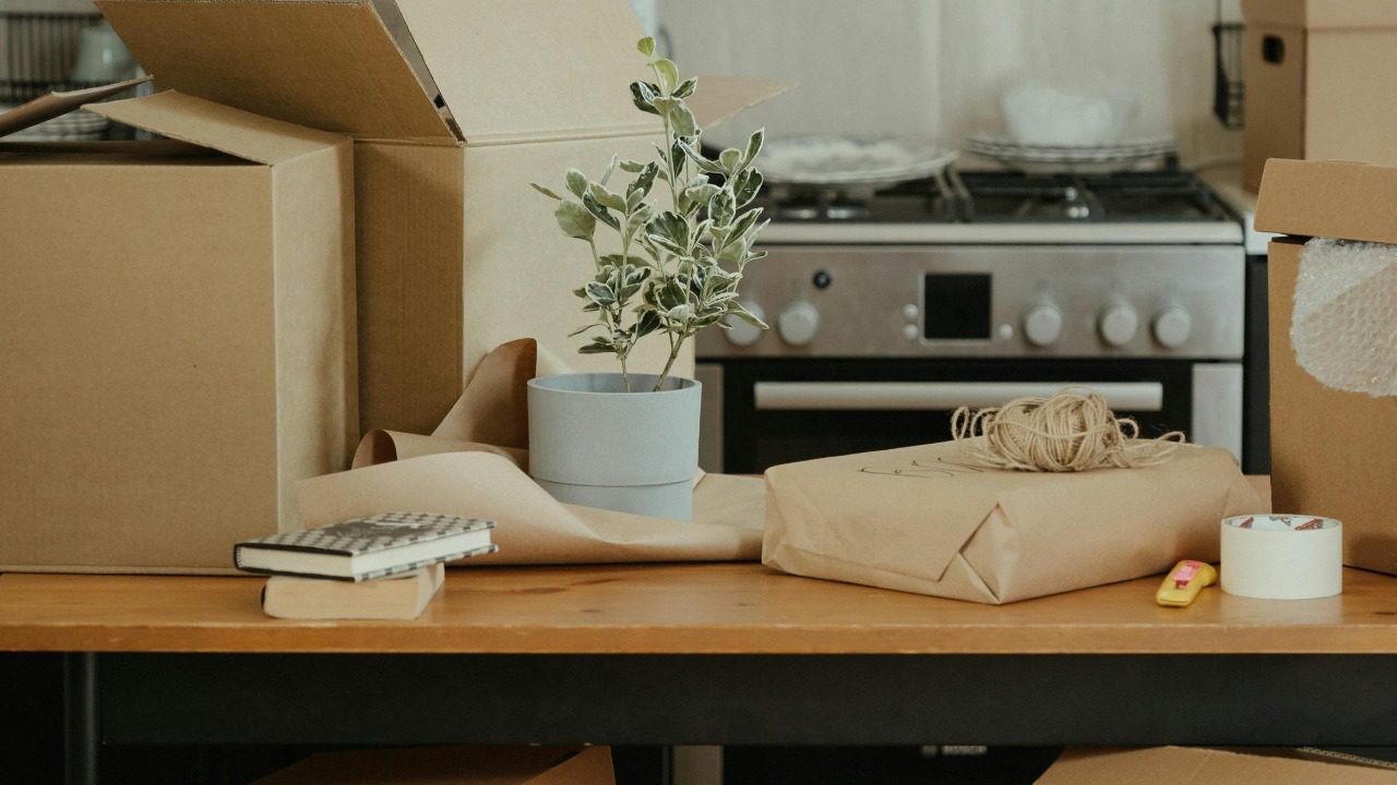 cottonbro studio/Pexels