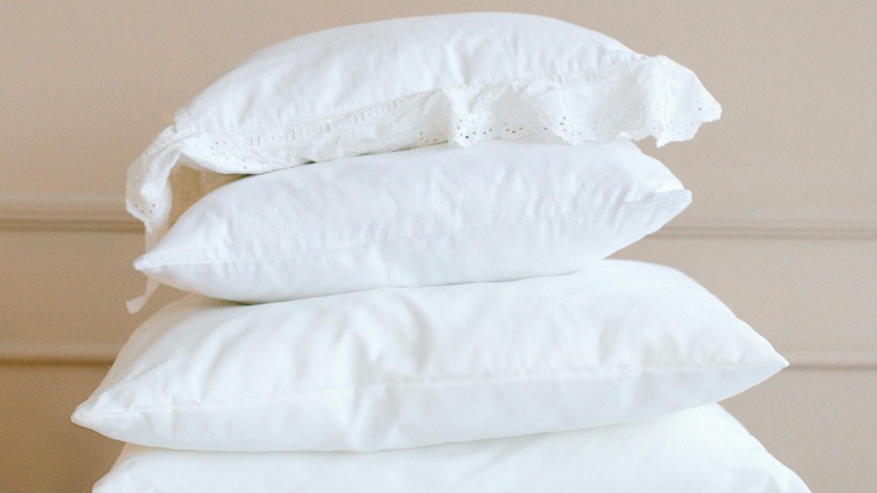 Anna Nekrashevich/Pexels