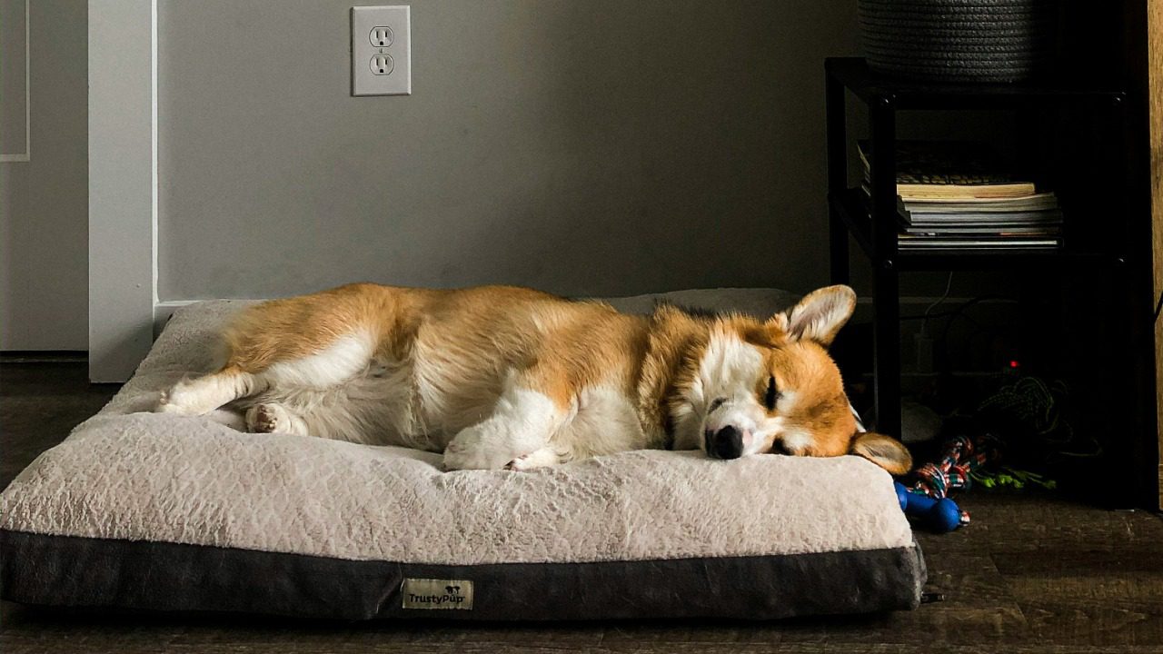 migueldominguez/Unsplash