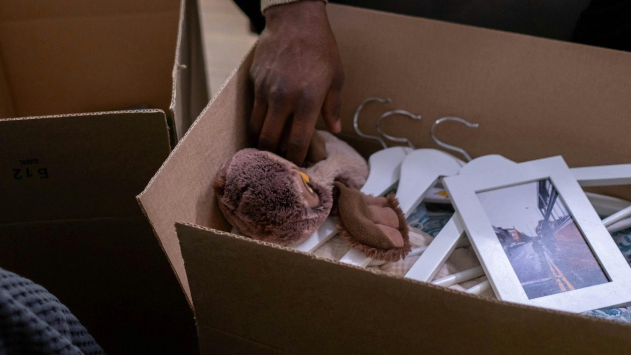 cottonbro studio/Pexels