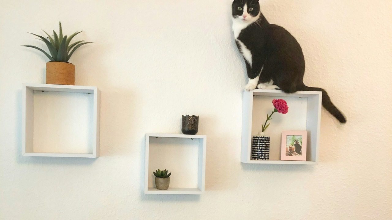 frolleinandersen/Unsplash